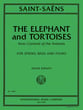 The Elephant and Tortoises String Bass and Piano cover